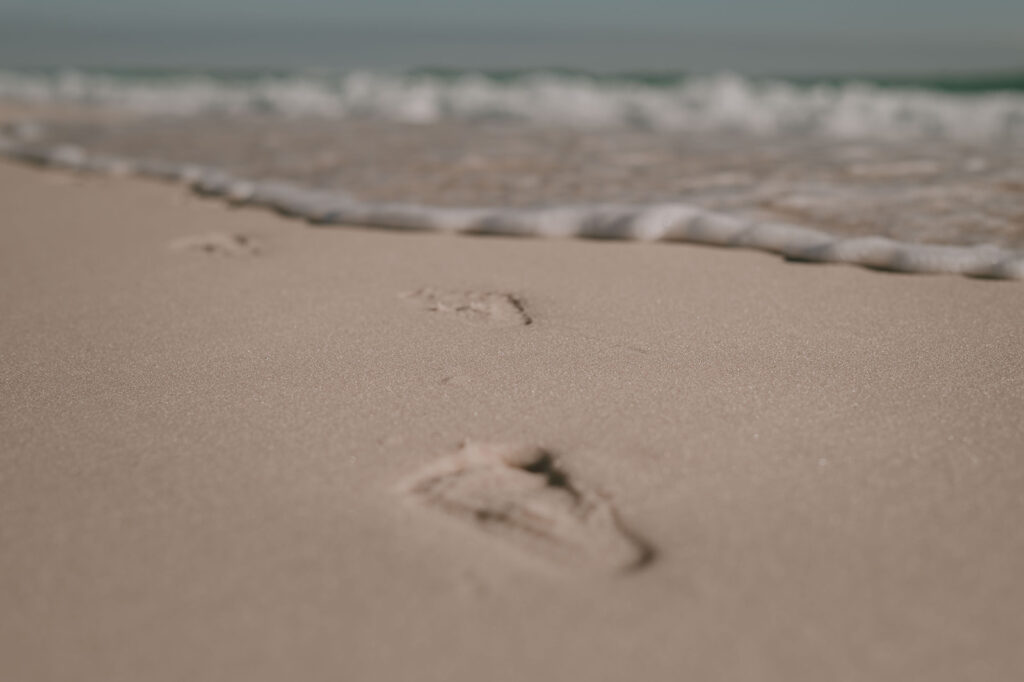 documenting little things -tiny footprints in the sand